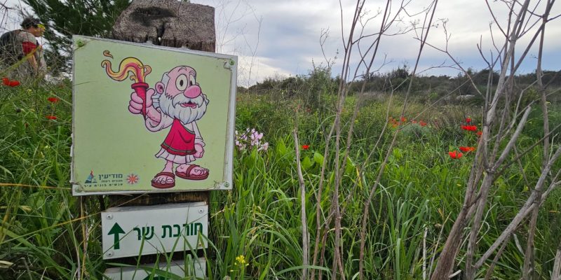 גבעת שר: מסלול פריחה עם נוף ושרידי ארכאולוגיה