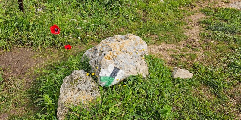 גבעת שר: מסלול פריחה עם נוף ושרידי ארכאולוגיה