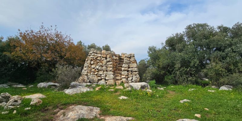 גבעת שר: מסלול פריחה עם נוף ושרידי ארכאולוגיה