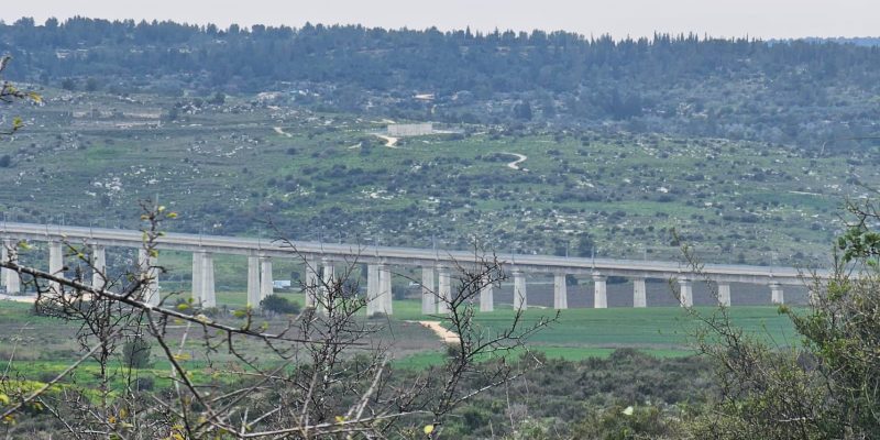 גבעת שר: מסלול פריחה עם נוף ושרידי ארכאולוגיה