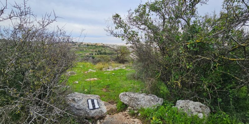 גבעת שר: מסלול פריחה עם נוף ושרידי ארכאולוגיה