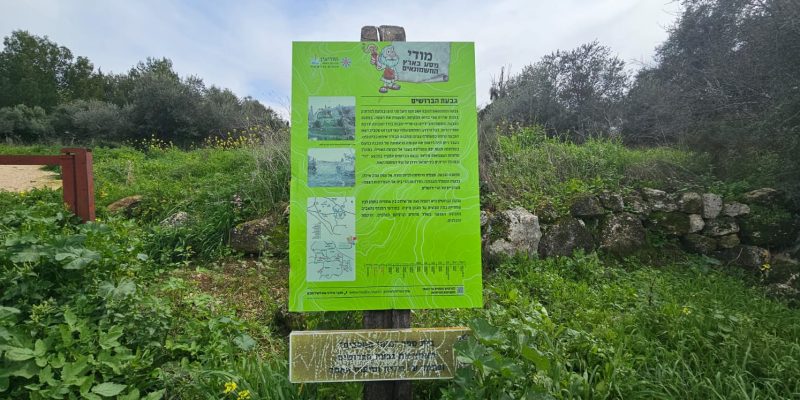 גבעת הברושים: מסלול פריחה ותצפית על הרי יהודה