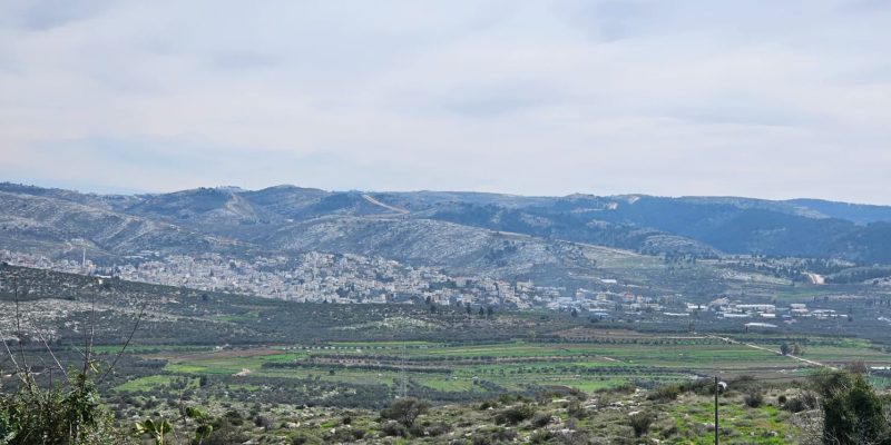 גבעת הברושים: מסלול פריחה ותצפית על הרי יהודה