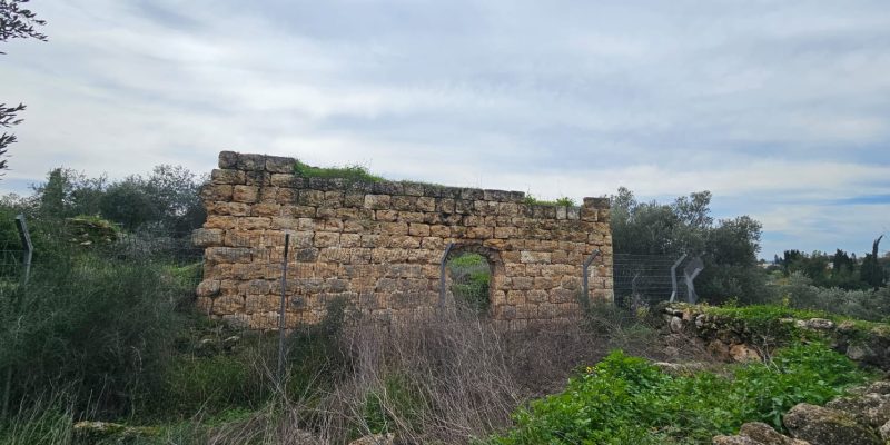 גבעת הברושים: מסלול פריחה ותצפית על הרי יהודה