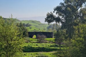 שביל בין הגשרים