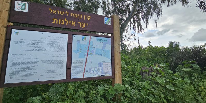 שביל האירוסים יער האילנות