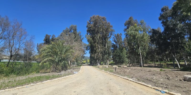 פארק האקליפטוס נחל ירמות: פארק מעיינות אורי-ישעי