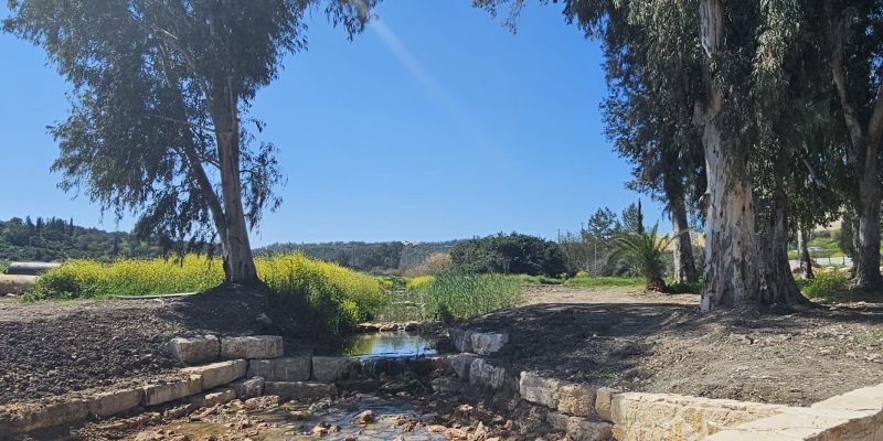 פארק האקליפטוס נחל ירמות: פארק מעיינות אורי-ישעי