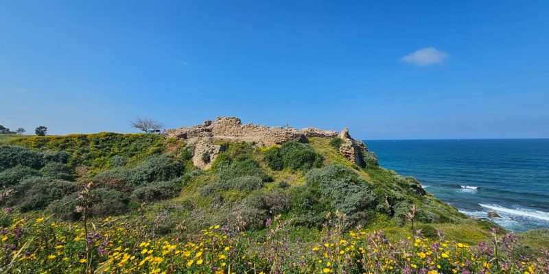 מבט לכיוון דרום על המבצר הצלבני בגן לאומי אפולוניה