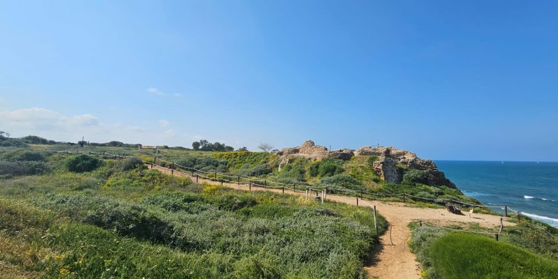 מבט לכיוון דרום על המבצר הצלבני בגן לאומי אפולוניה