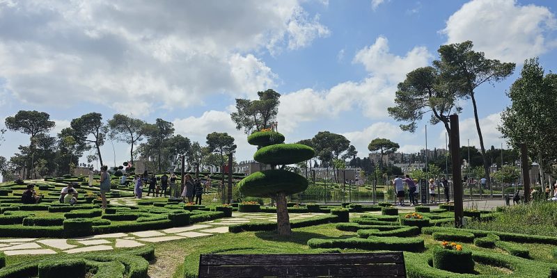 גינון מושקע סביב האגם האקולוגי בנופארק