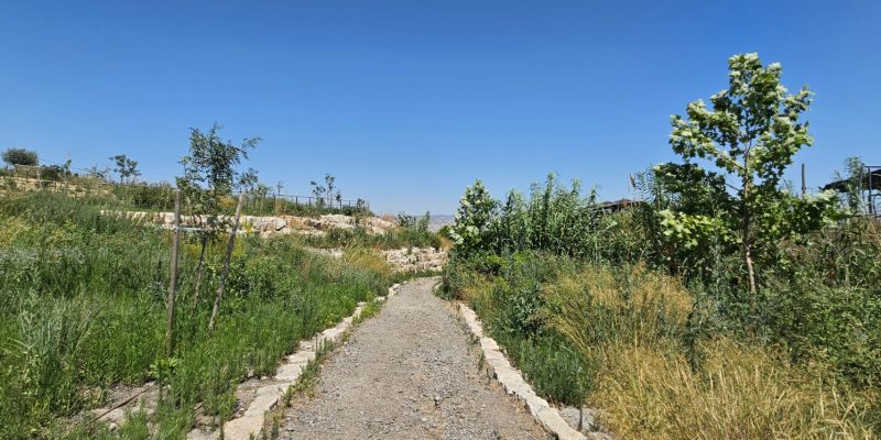 עין הנציב - לאחר השיפוץ