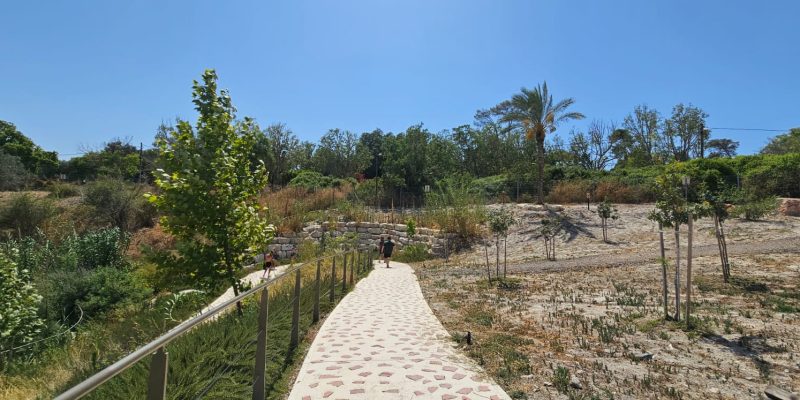 עין הנציב - לאחר השיפוץ