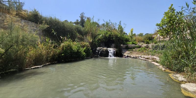 עין הנציב - לאחר השיפוץ
