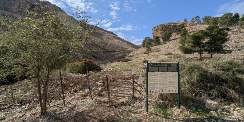 מסלול פריחה ומפלונים בנחל יצפור: שמורת טבע גלבוע מזרחי