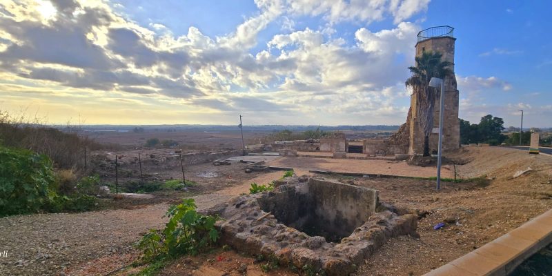 שרידים ארכאולוגים ששומרו בתל יבנה לצד צריח המינרה