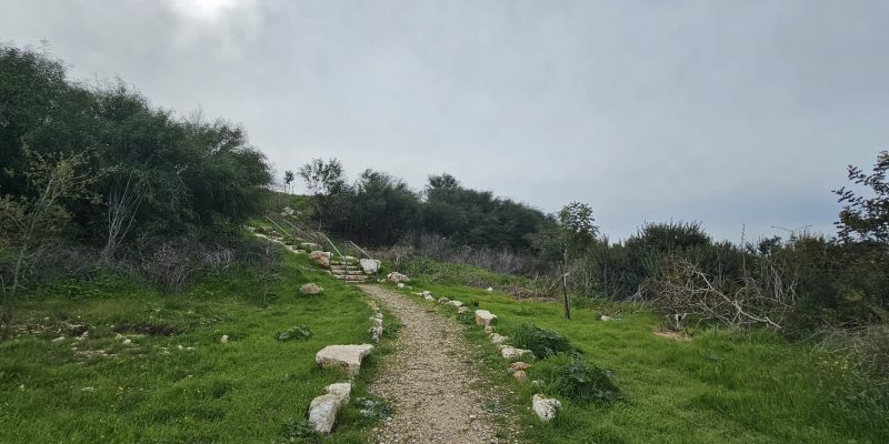 טיילת היער חריש - הכניסה הצפונית