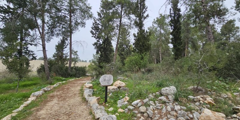 שלטי הסבר על הצומח בשביל היער חריש