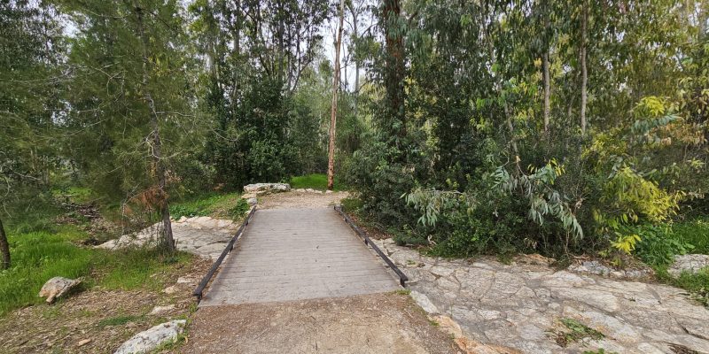 שביל היער חריש