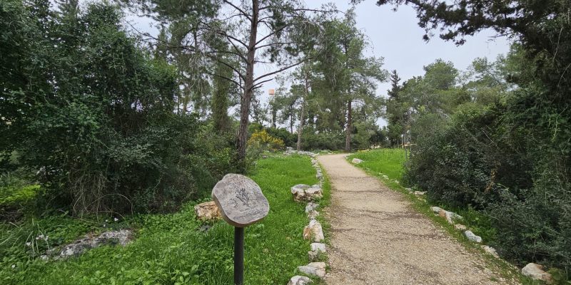 שלטי הסבר על הצומח בשביל היער חריש