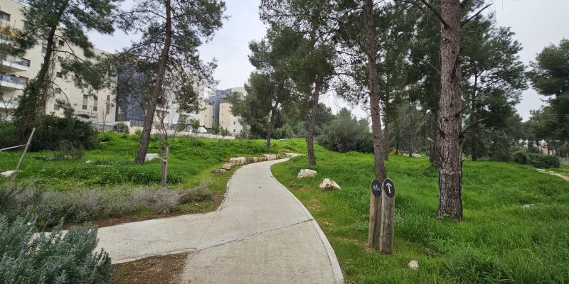 שביל היער בחריש