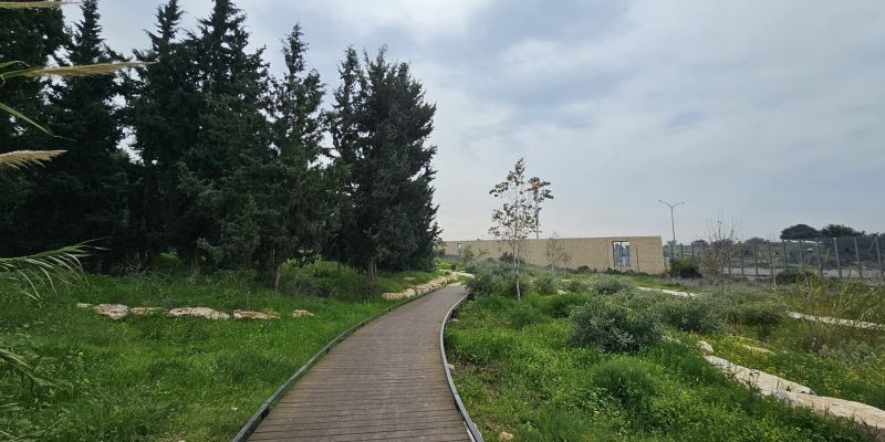 דק עץ בהליכה מעל בריכת החורף בשביל היער חריש