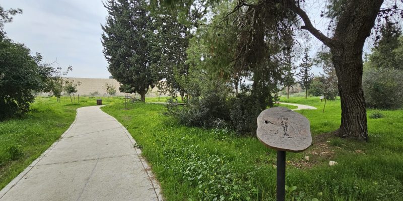 שלטי הסבר על הצומח בשביל היער חריש