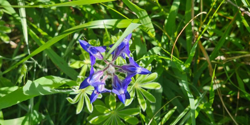 מבצר קאקון: גן לאומי קקון עמק חפר