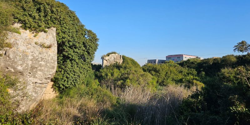 חורבת מלח במראה החורפי עטוף הירוק