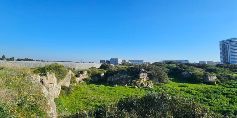 חורבת מלח במראה החורפי עטוף הירוק