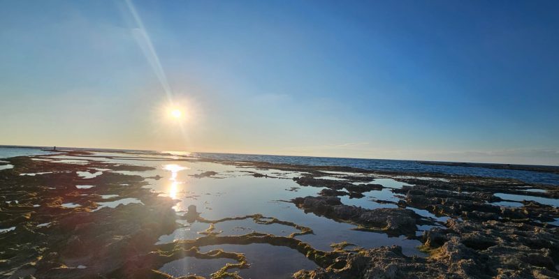 חוף שדות ים: פנינה קסומה במרכז הארץ