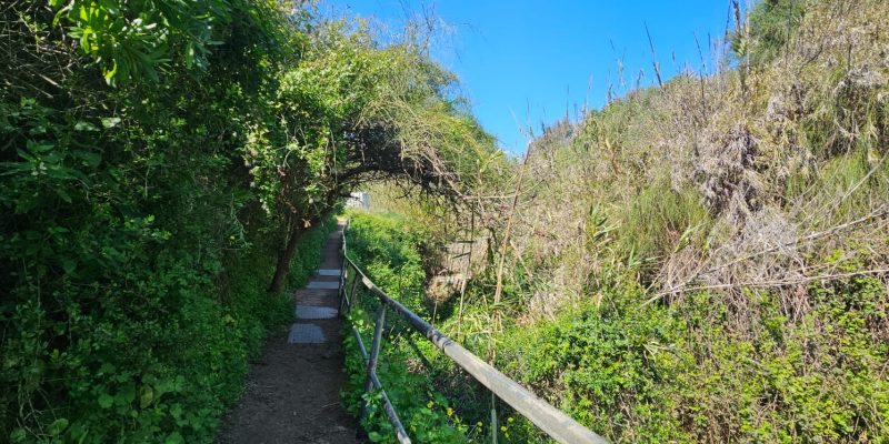 שמורת יקום ושער פולג