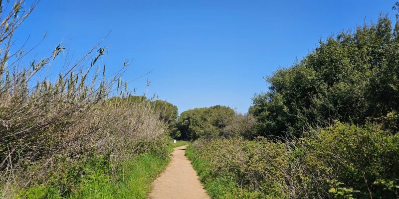 שביל הליכה נוח בשמורת יקום ושער פולג