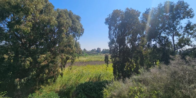 שמורת יקום ושער פולג