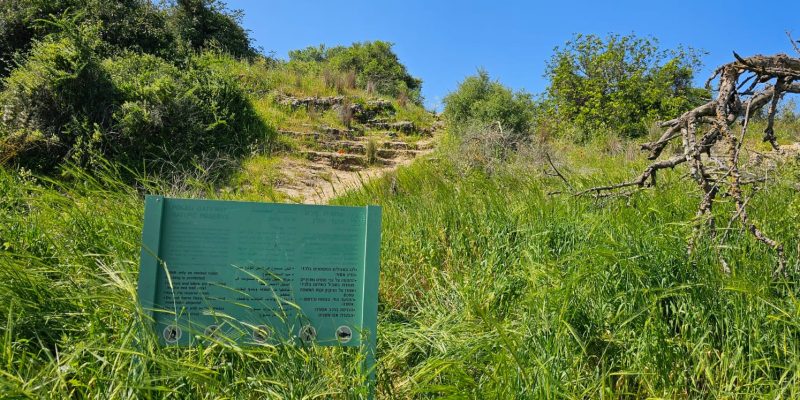 שמורת יקום ושער פולג