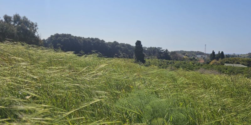 שמורת הטבע ביתן אהרון