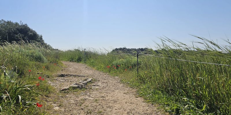 שמורת הטבע ביתן אהרון