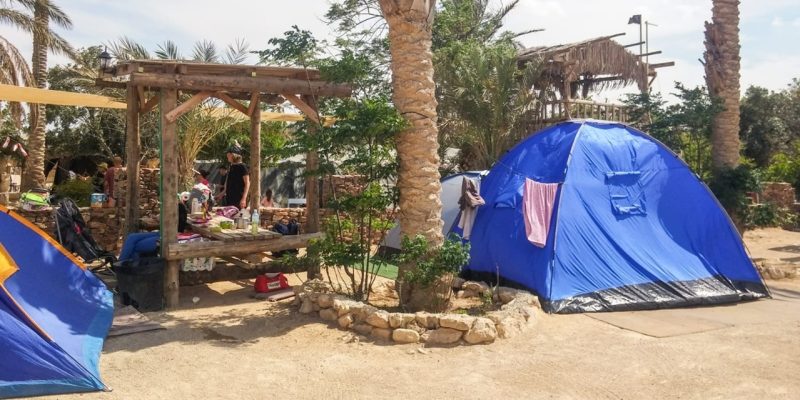 באדיבות: כפר הנוקדים ערד