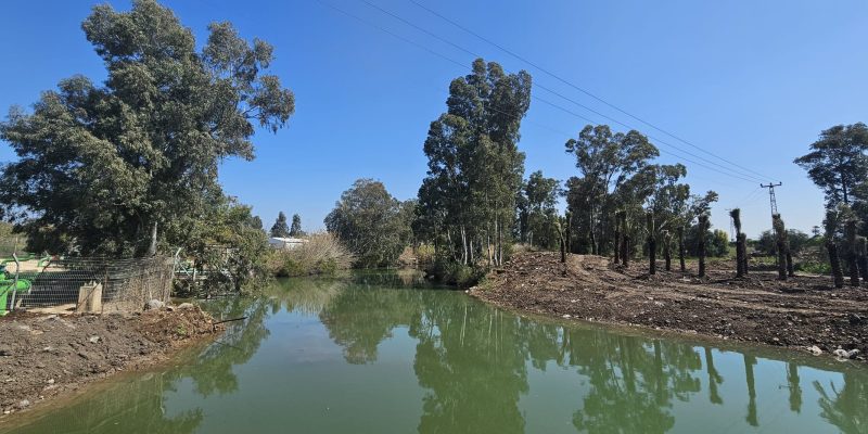 סכר אלומות החדש בירדנית: פרויקט מהפכני בירדן הדרומי