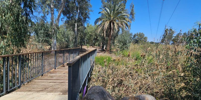 ביצת כנרת: פסיפס של טבע והתיישבות