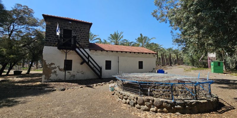 חורשת האקליפטוס על שם נעמי שמר