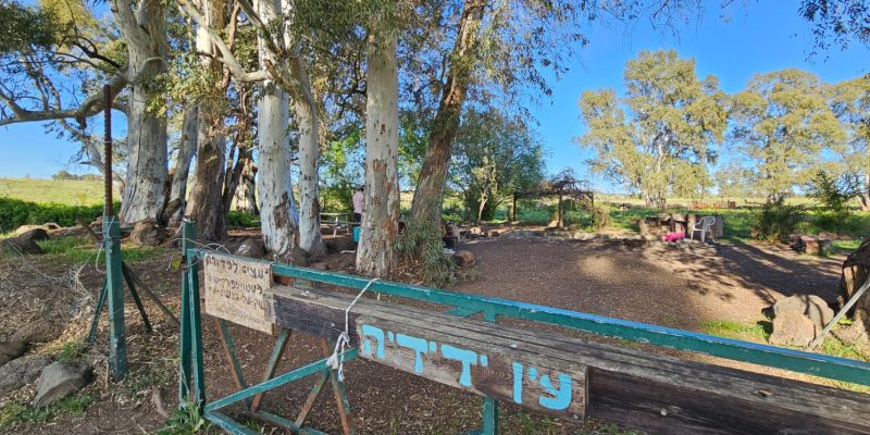 הכניסה לעין ידידיה