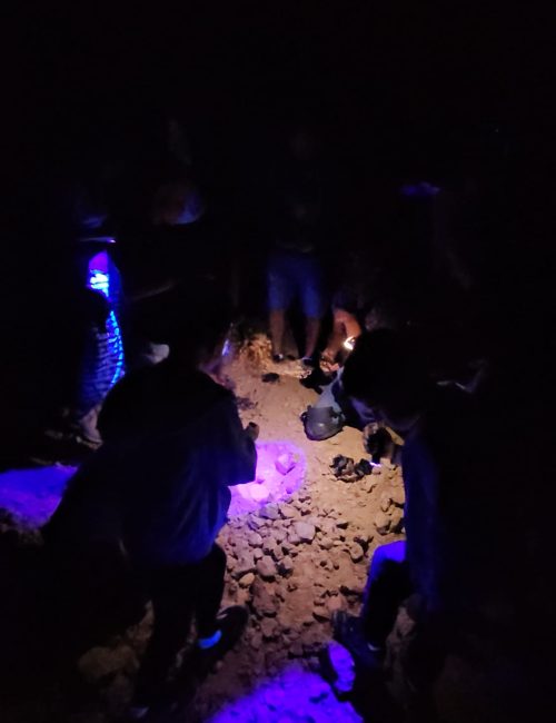 איש העקרבים של מצפה רמון: סיור עקרבים עם נעם שלו