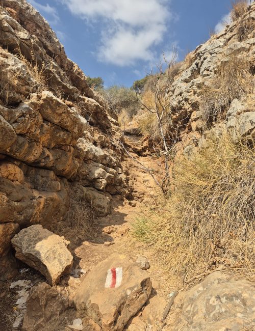 נחל יצפור בתחילת הסתיו