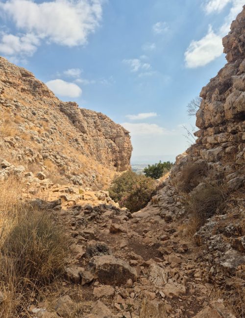 נחל יצפור בתחילת הסתיו