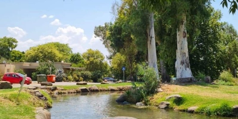 זרימת נחל דן לצד יד לנופלים