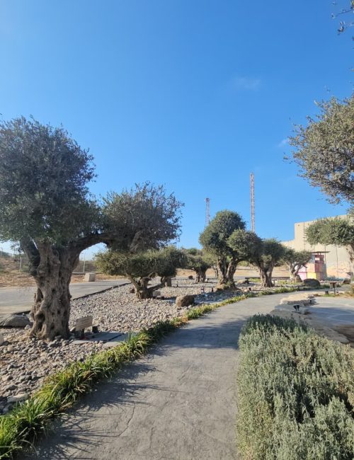 נתיב התקווה