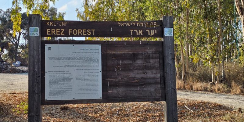 יער ארז: גשר הקשתות, תחנת דיר סנייד ואנדרטת הפועלים המצרים