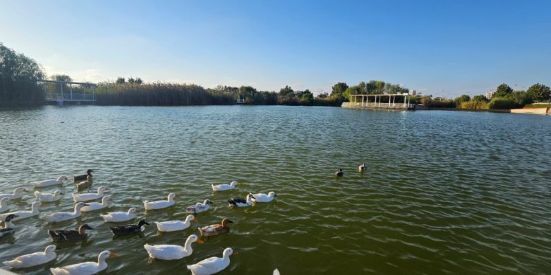 פארק האגם נתיבות