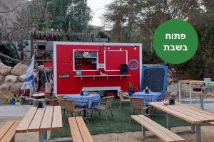 ארטוס פודטראק בעין גדי ים המלח